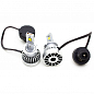 Светодиодные лампы D4S LED PRO Xenite